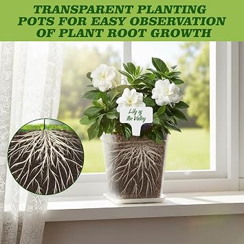 Pack of 40 Propagation Pots Transparent Small Flower Pots 7 cm Plant Pots with Saucer and Label Includes Versatile Mini Flower Pots Plastic Square Mini Pots for Seeds Succulents