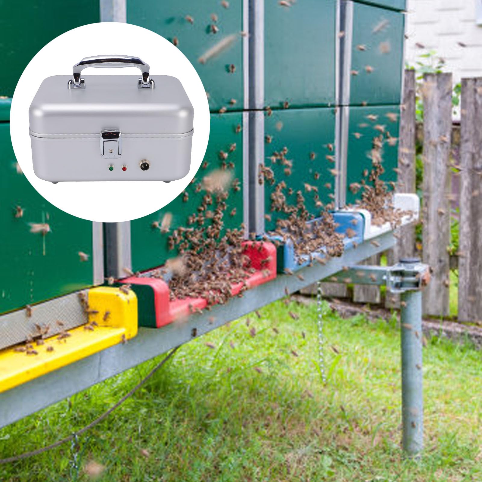 Generic Queen Bee Incubatrice Automatica in Acciaio Inossidabile per L'Apicoltura Allevamento di Regine, Attrezzatura a Temperatura Costante per Fattoria [Apicoltori Principianti Ed Esperti]