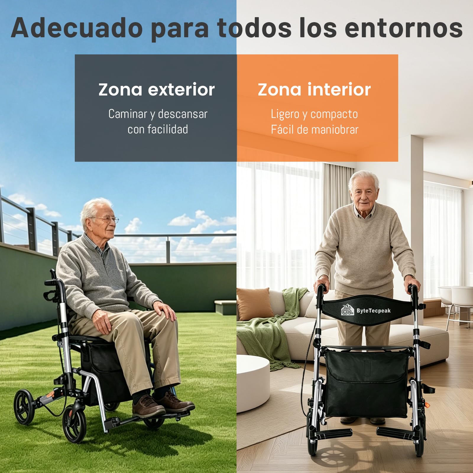 R3 - Andador y silla de ruedas 2 en 1 con reposapiés y bastón plegable, altura regulable, función de silla de ruedas, soporta hasta 100 kg (Plata)