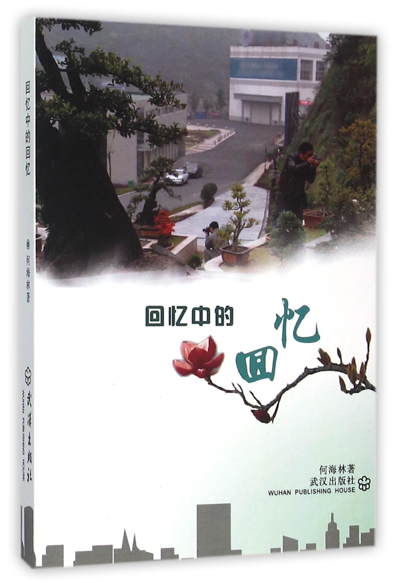 Memories in Memories (Chinese Edition)