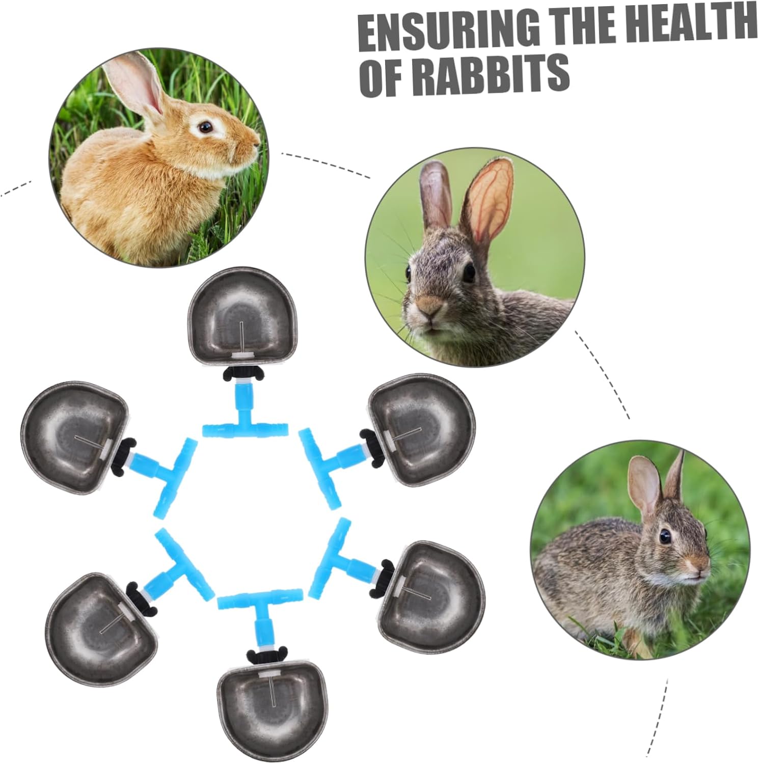 BESPORTBLE 6pcs Bunny Water Feeder Drinking Bowls Rabbit Watering Bowl Made of Stainless Steel Easy to Use Store