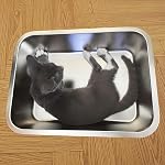 Stainless Steel Cat Litter Box, 50×35×15cm Low Entry Metal Litter Pan, Large Litter Box for Cats and Kittens, Easy Cleaning, Odor Free