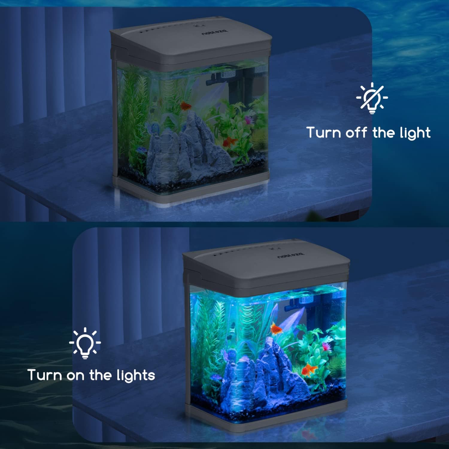 Aquarium with light off and light on