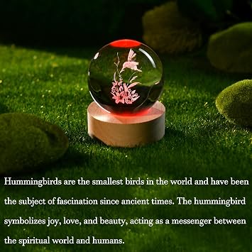 IFOLAINA 3D Hummingbird Crystal Ball Ideal Gifts for Women Friends Lovers | 2.36 Engraved Hummingbird Glass Sphere Decorative Globe with Wooden Light Base Hummingbird Lamp Decor for Room