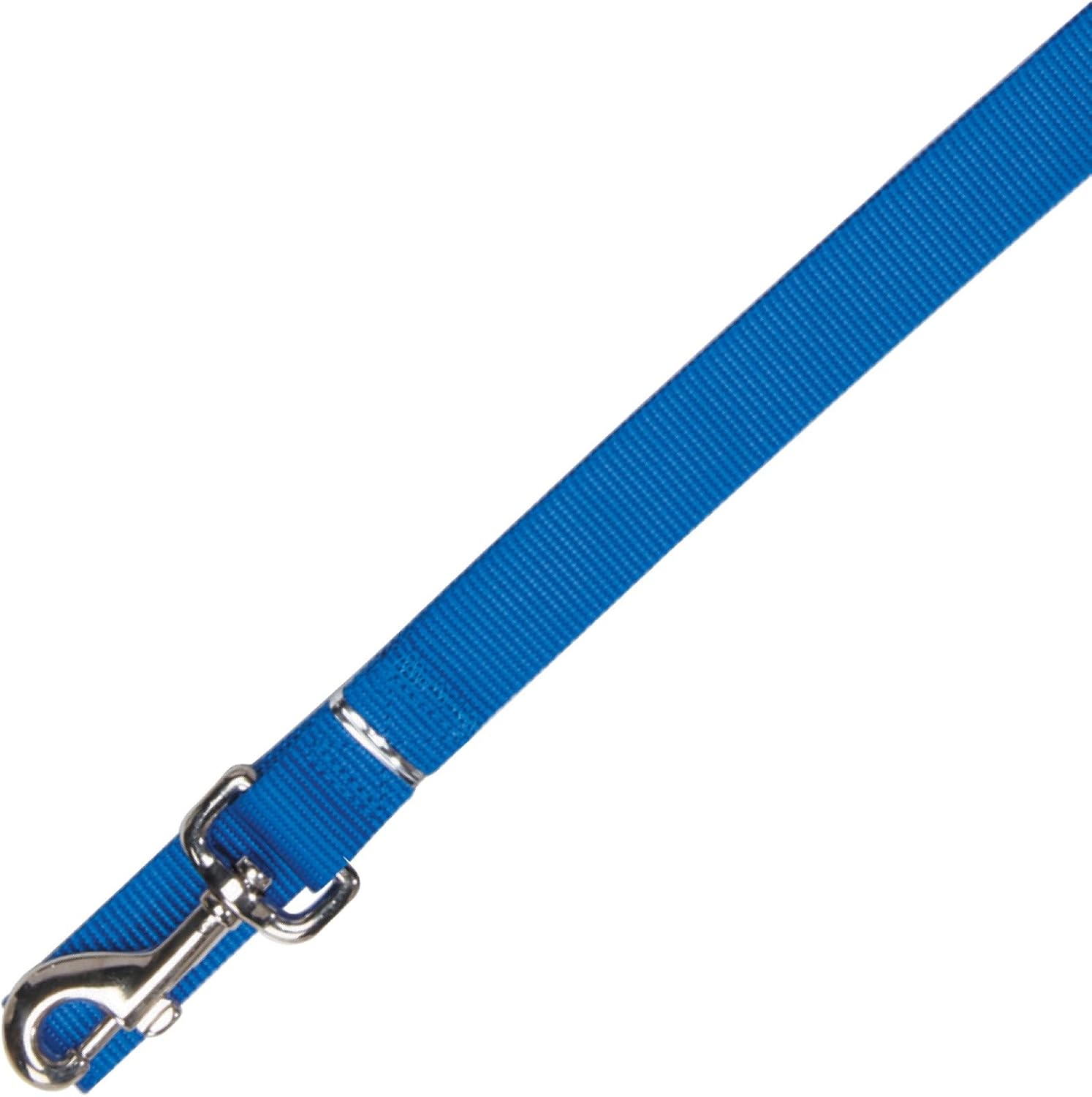 Zack & Zoey Basic Nylon Dog Leash, 6-Feet x 1-Inch Lead, Ultra Violet