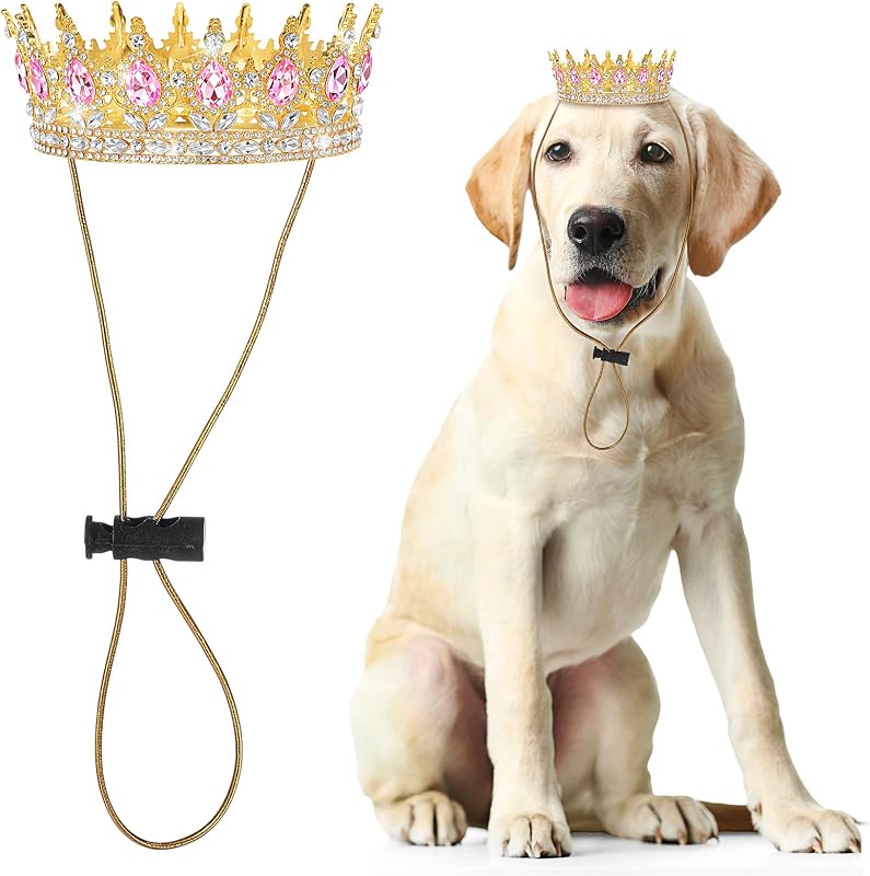 Coroa de Aniversário para Cachorros Abbylike com Strass Rosa, Tamanho Grande