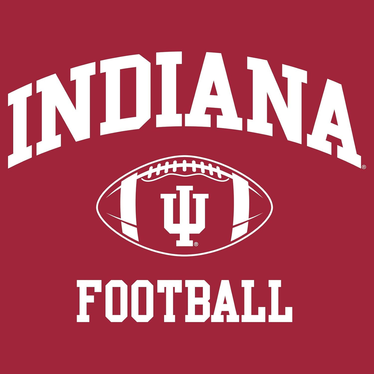 NCAA Classic Football Arch, Team Color T Shirt, College, University - Image 4