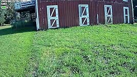 Review Image by MikeS