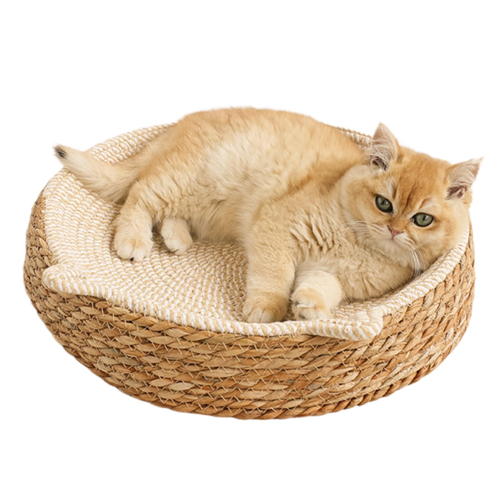 Panier griffoir pour chat d'excellence en coton tressé et protection meuble durable