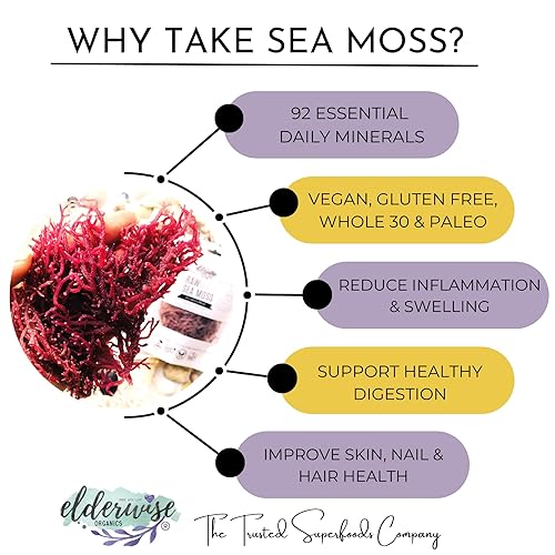 Miniatura 6 de Sea Moss  Morado  Hace 24 onzas de gel  Crudo + sin OMG  Surtido  Wild Rafted