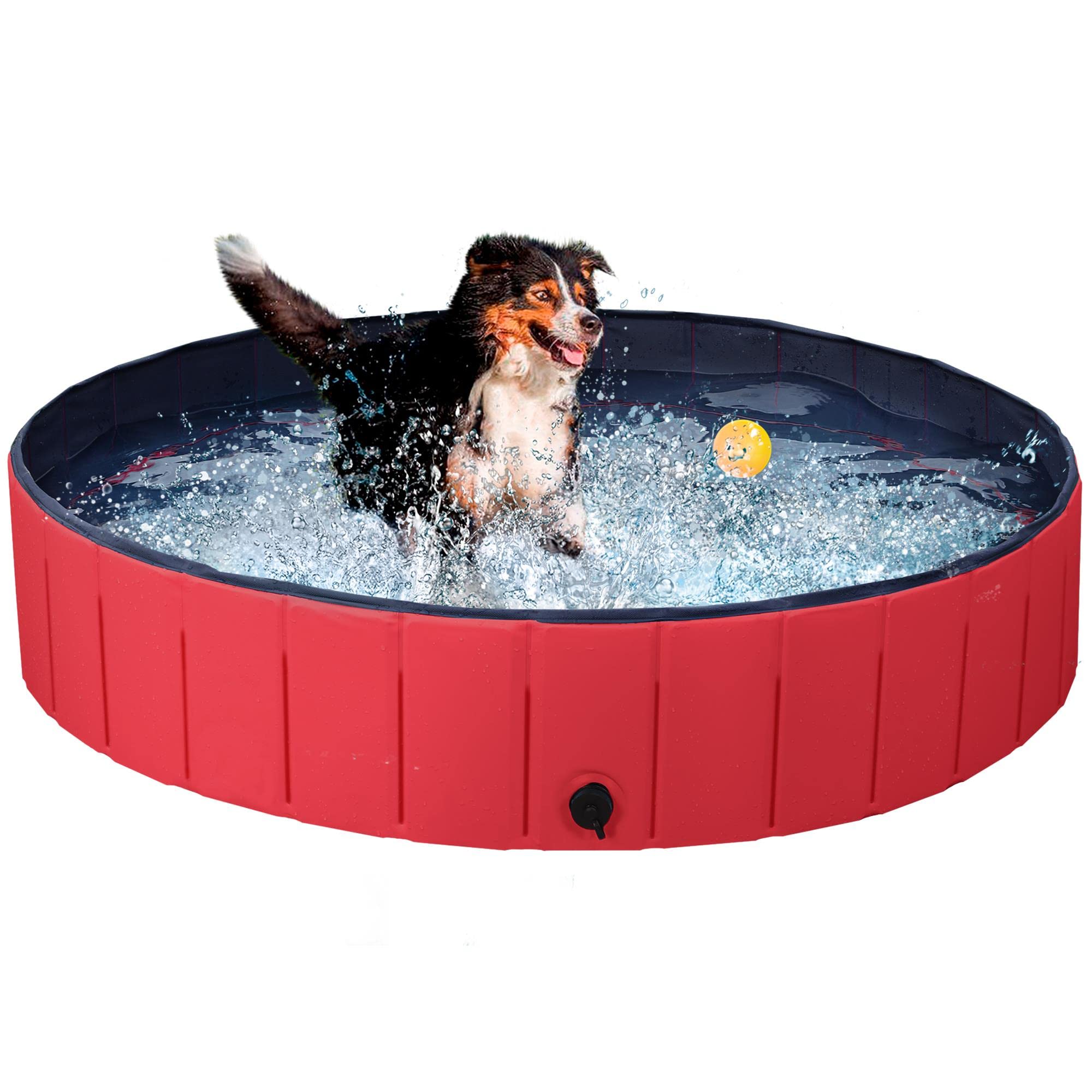 Can Swiming In Salt Water Pool Hurt German Shepherd