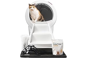 Litter Robot 1: Redefining Feline Sanitation