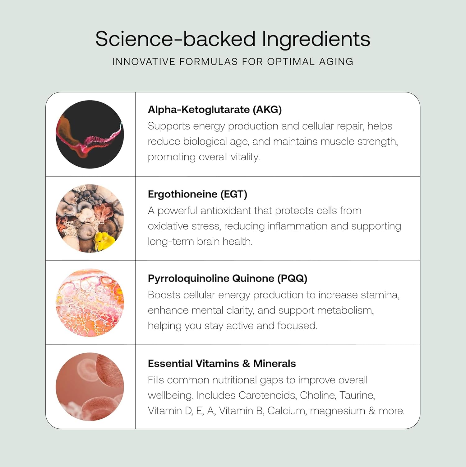 SRW Cel Essential | Wellness Supplement for Healthy Aging and Longevity | Supports Energy, Mental Performance + Muscle Health | 17 Vitamins & Minerals | Suitable for All Ages | 60 Capsules - Image 6