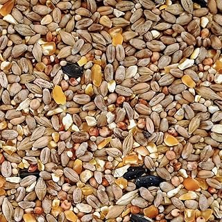 Jazooli 12.75kg Wild Bird Robin Songbird Feed Food High Energy Balanced Premium Mixed Seed Nut Kernel All Season Garden Table Feeder - 12.75KG Large Bag