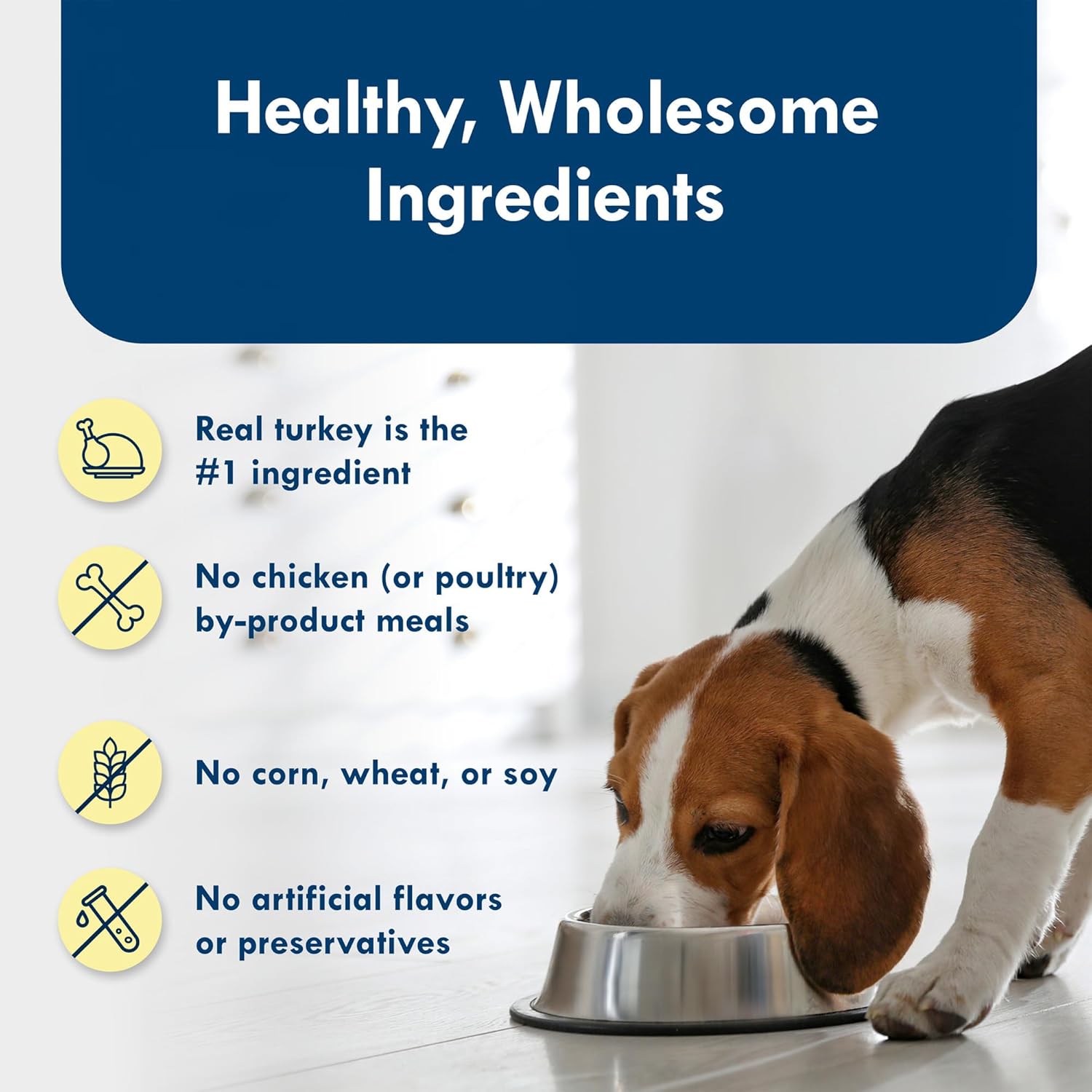 Blue Buffalo Delights Natural Adult Small Breed Wet Dog Food Cups, Pate Style, Roasted Turkey Flavor in Savory Juice 3.5-oz (Pack of 12) - Image 6