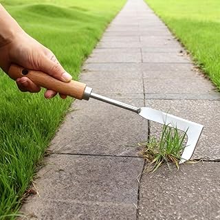 1PC Angled 7-Shape Weeding Tool Stainless Steel with Beech Handle for Lawn, Pathways, Garden Cracks and Dandelion Harvesting, Silver