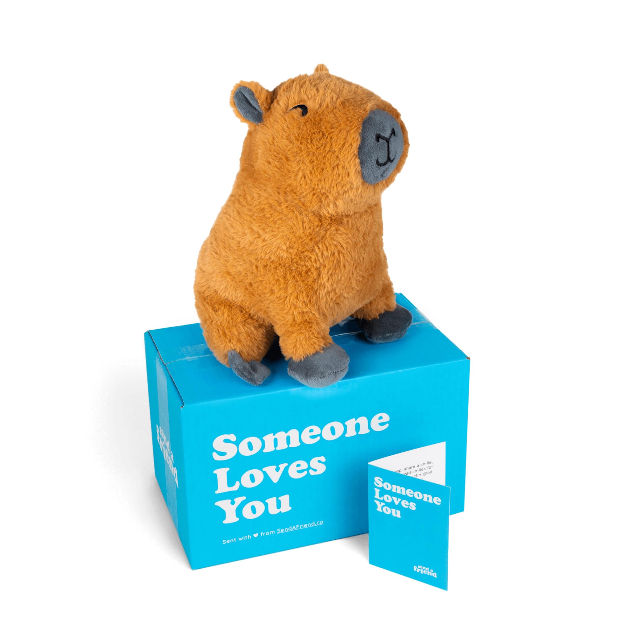 SendAFriend Crouton The Capybara Stuffed Animal Care Package, Someone Loves You Box, Great Gift for Any Reason (Love You Notecard)