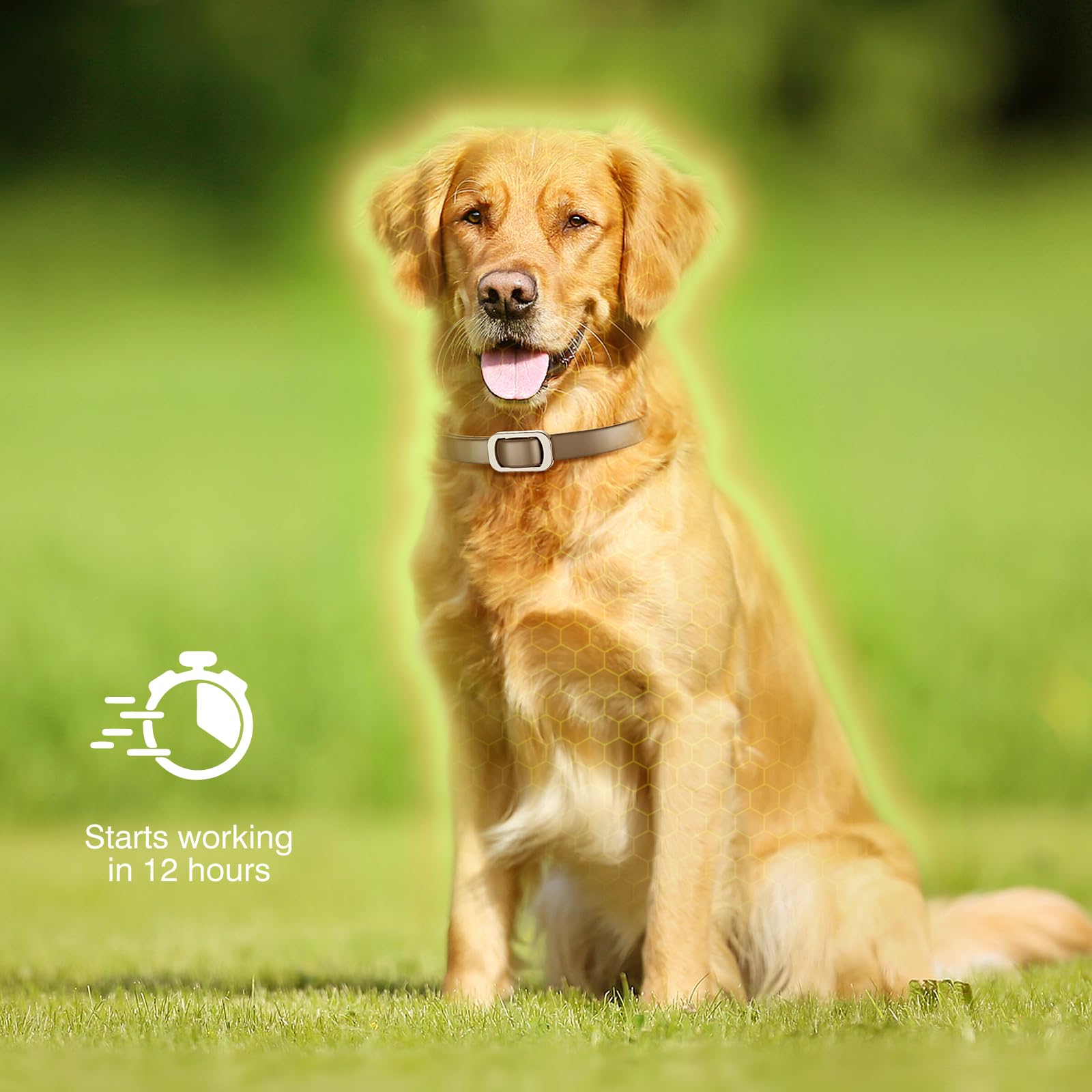 Flea Collar for Dogs, 4 Pack Flea and Tick, Dog Flea Collar with Natural Essential Oils, Adjustable Size for All Ages of Dogs(Black) - 5