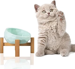 Jemirry Ceramic Pet Bowls Stand