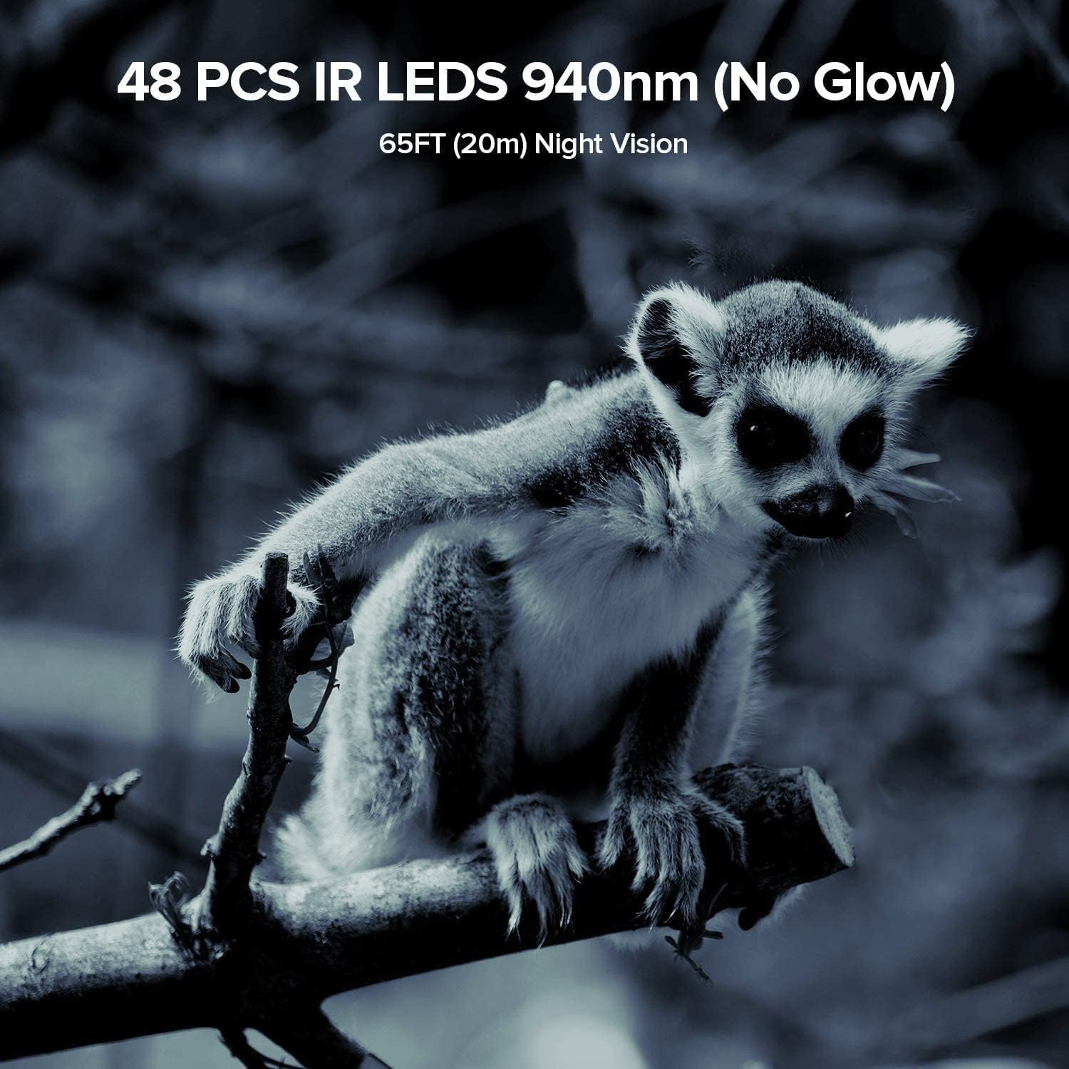 A green camouflage Vikeri trail camera mounted on a tree trunk with a strap, with two green birds perched on a branch in the foreground. The image highlights the IP66 waterproof feature.