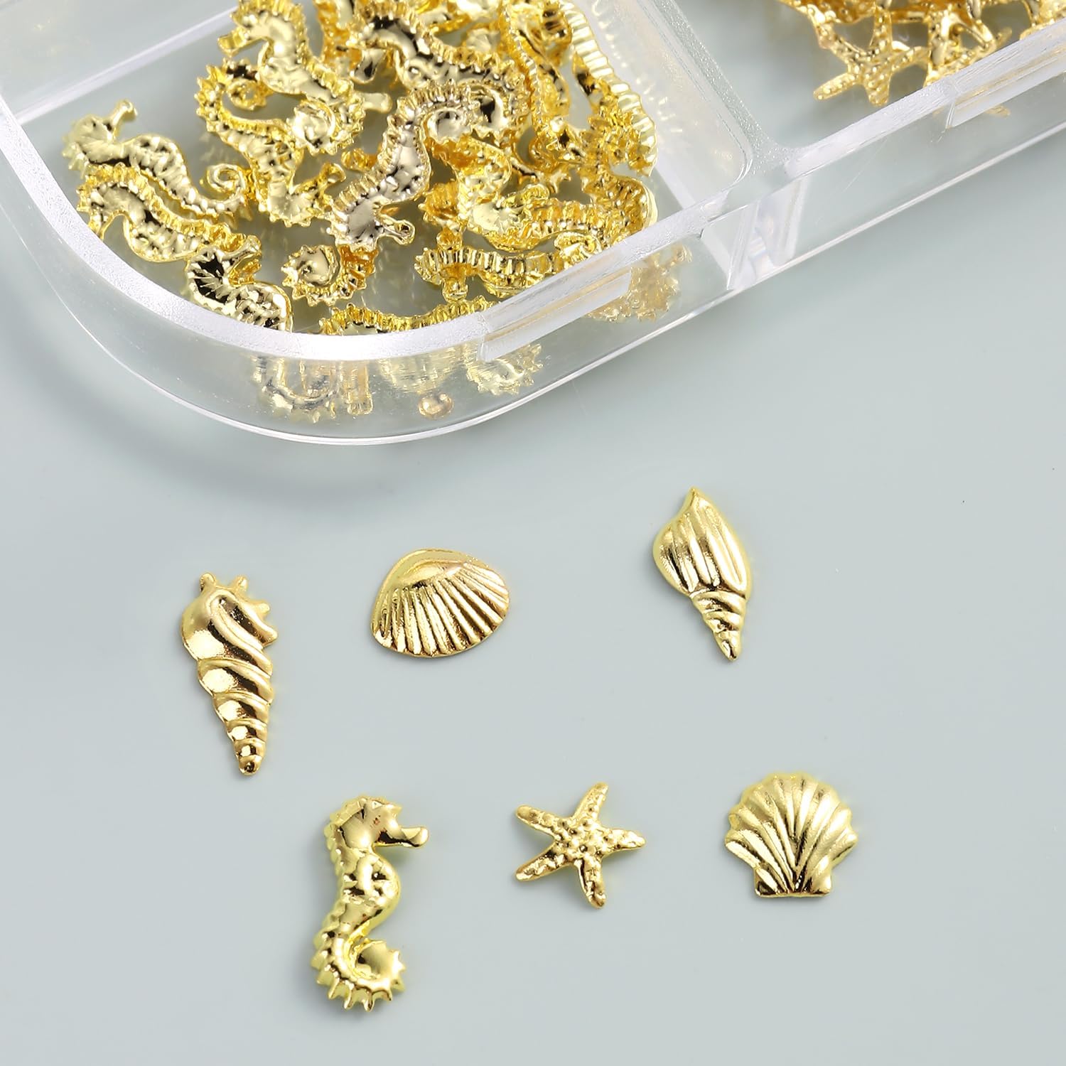 6 Compartiments Breloques De Nail Art En Forme Coquillage D'Été, Bijoux Ongles Nail Art Thème Océan, Breloques Ongles, Coquillage Decoration Pour DIY Décoration De Cartes Et Coques