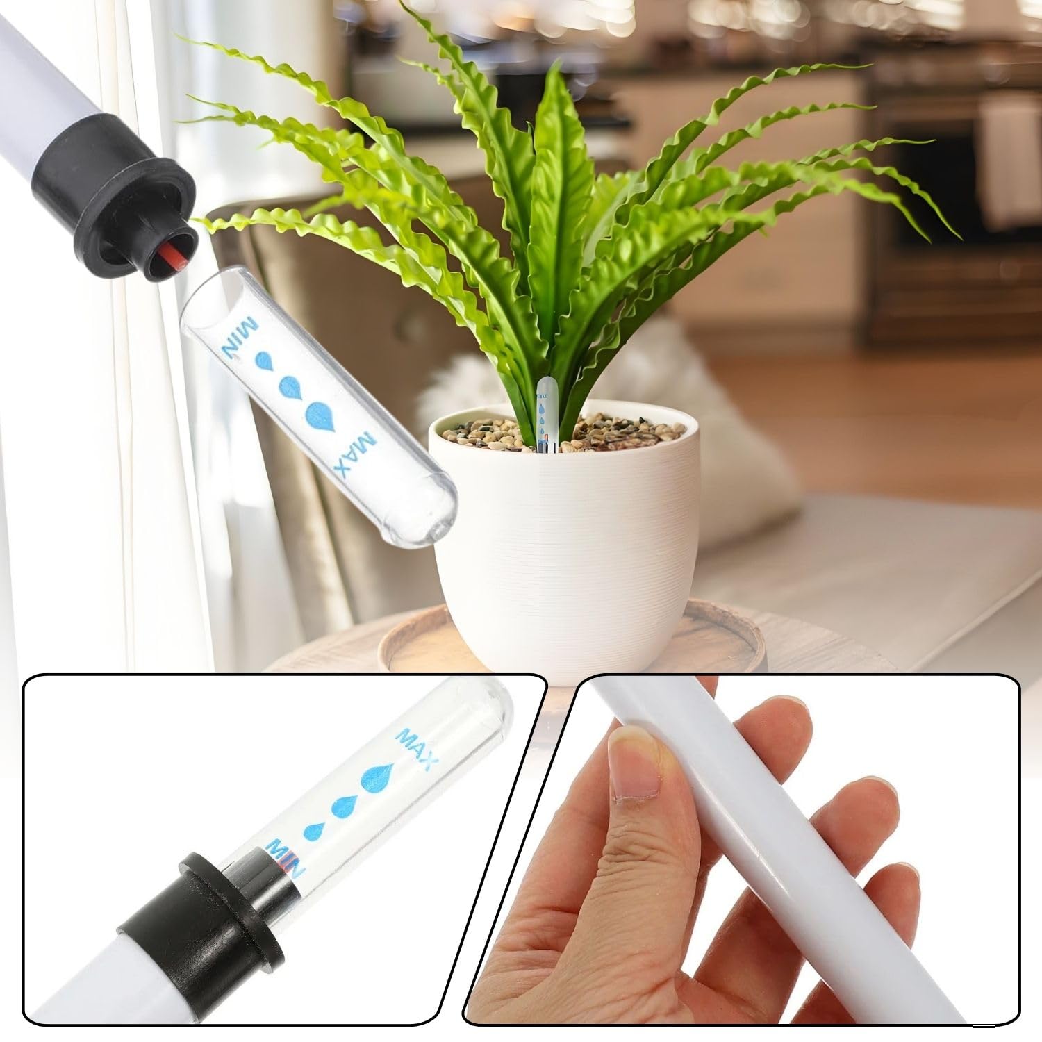Lyivisk 3 Stck Wasserstandsanzeiger fr Blumenkasten 16 5 cm Pflanzen  Feuchtigkeitsmesser Garten Balkon Zimmerpflanzen Innen Auenbereich  Wassermangel Anzeige : Amazon.de: Garten