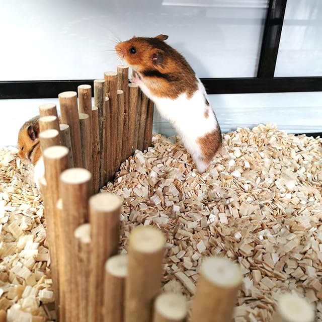 Foto 4 de 8 de YUUGAA Hamster Valla de Madera, Hamster Valla de Madera Rata Escala Puente Juguete Escala de Madera Escondite…