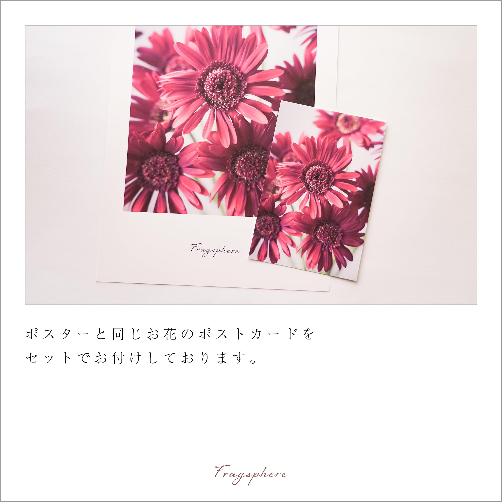 Amazon.co.jp: Fragsphere 日常を彩る 花のポスター Fragsphere