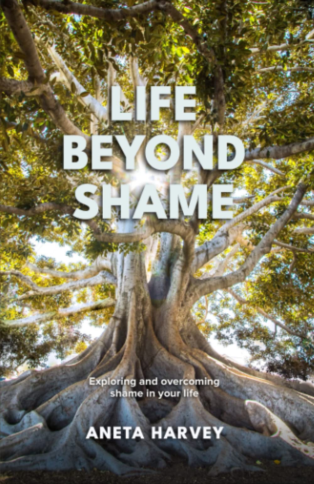 Life Beyond Shame: Exploring and overcoming shame in your life