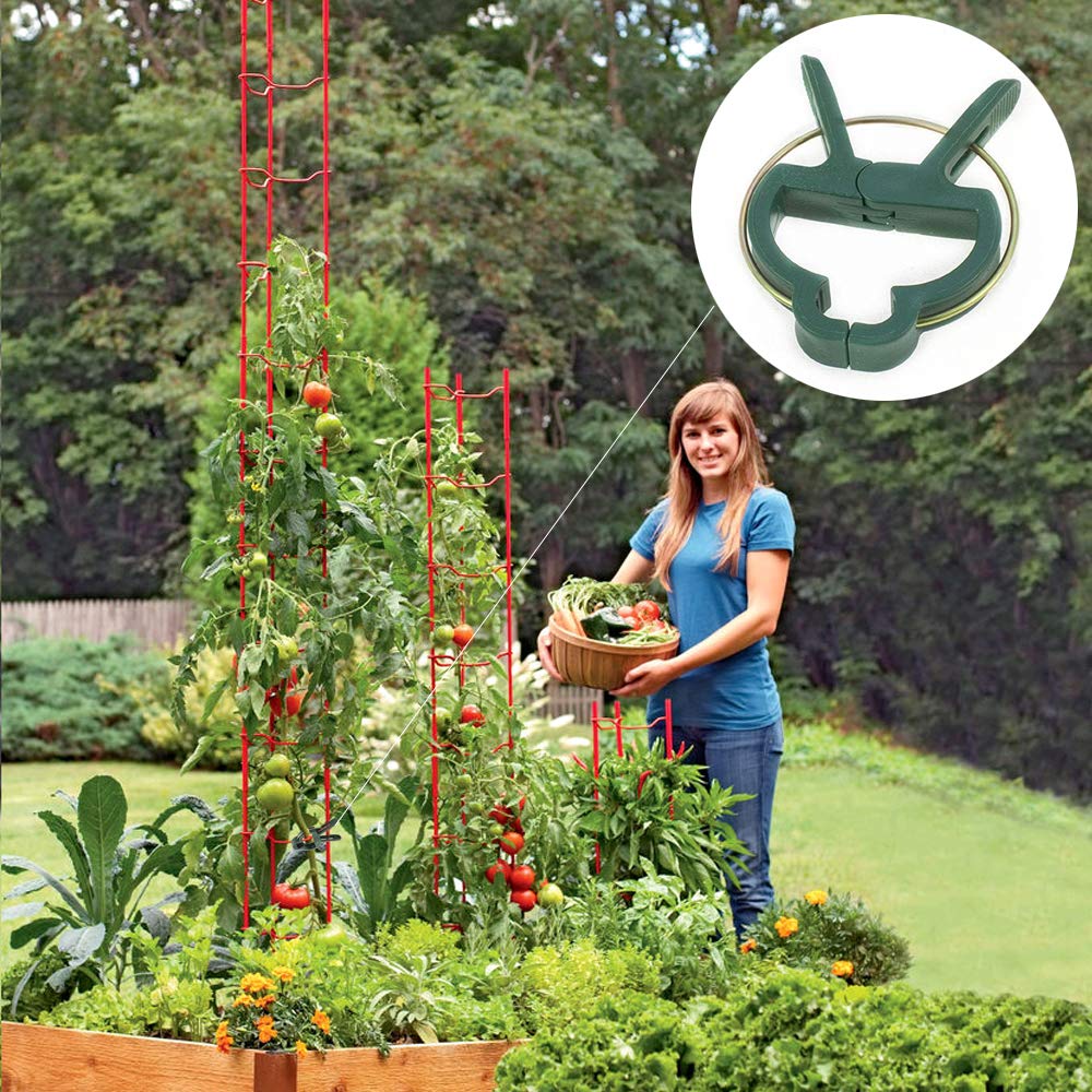 300 Clip Per Piante Da Orto - Supporti Per Pomodori E Piante Rampicanti - Foto 11