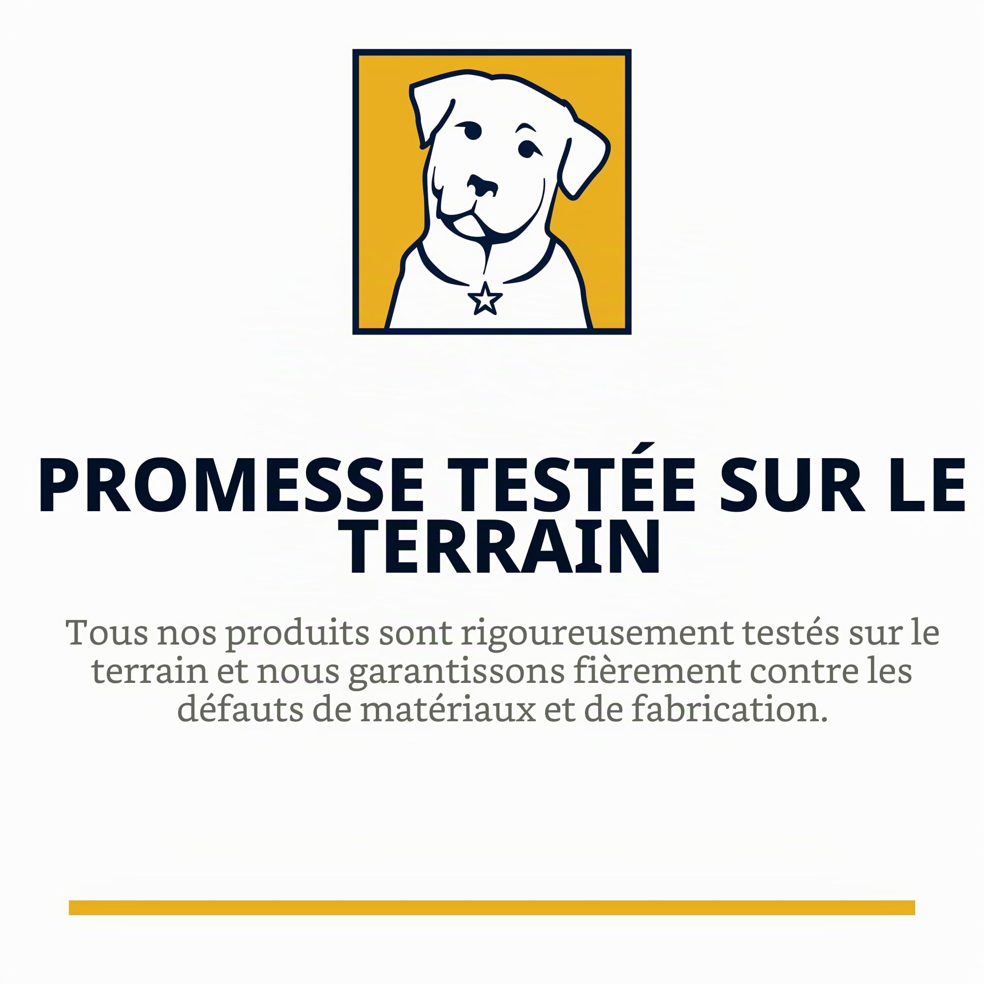 Grip Trex - Chaussures pour Chien