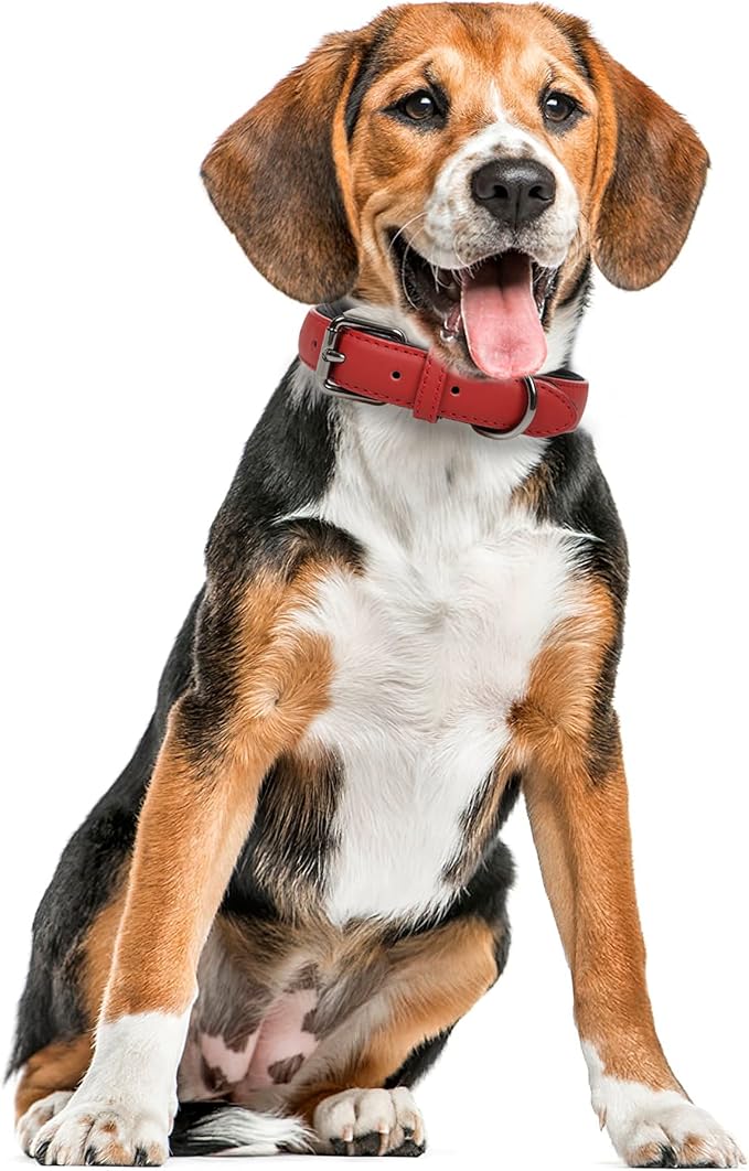 Collar de Cuero para Perro Acolchado Resistente con Hebilla de Metal Ajustable Lmlpt Talla L Rojo miniatura 6