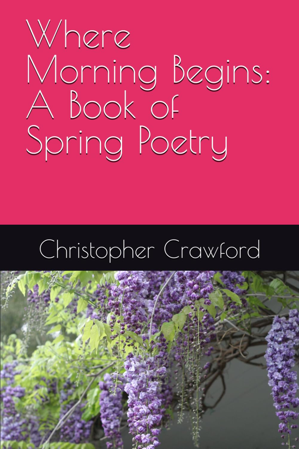 Where Morning Begins: A Book of Spring Poetry