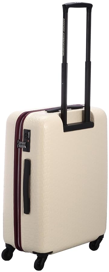 ブラニフ　キャリーバック　28L BRANIFF INTERNATIONAL（ブラニフインターナショナル）の