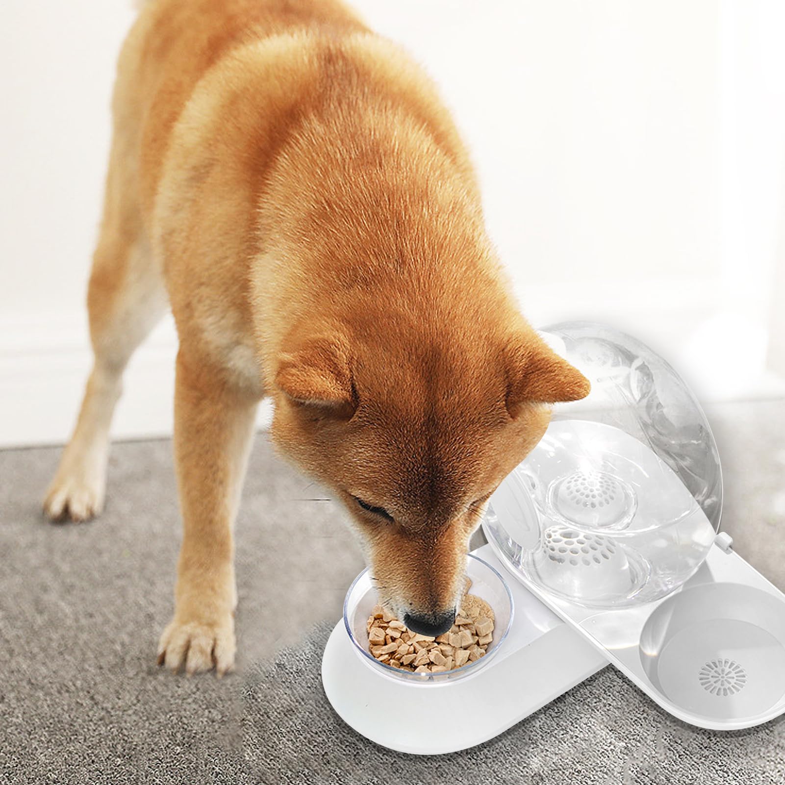 Bebedero para Perros Bebedero de Sifón para Mascotas de Alimenticio y a | Dispensador Automático de Agua para Perros para Cachorros Conejos Animales Todas las Razas