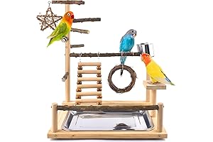 Birds' Paradise: A Playground for Chirping Delights