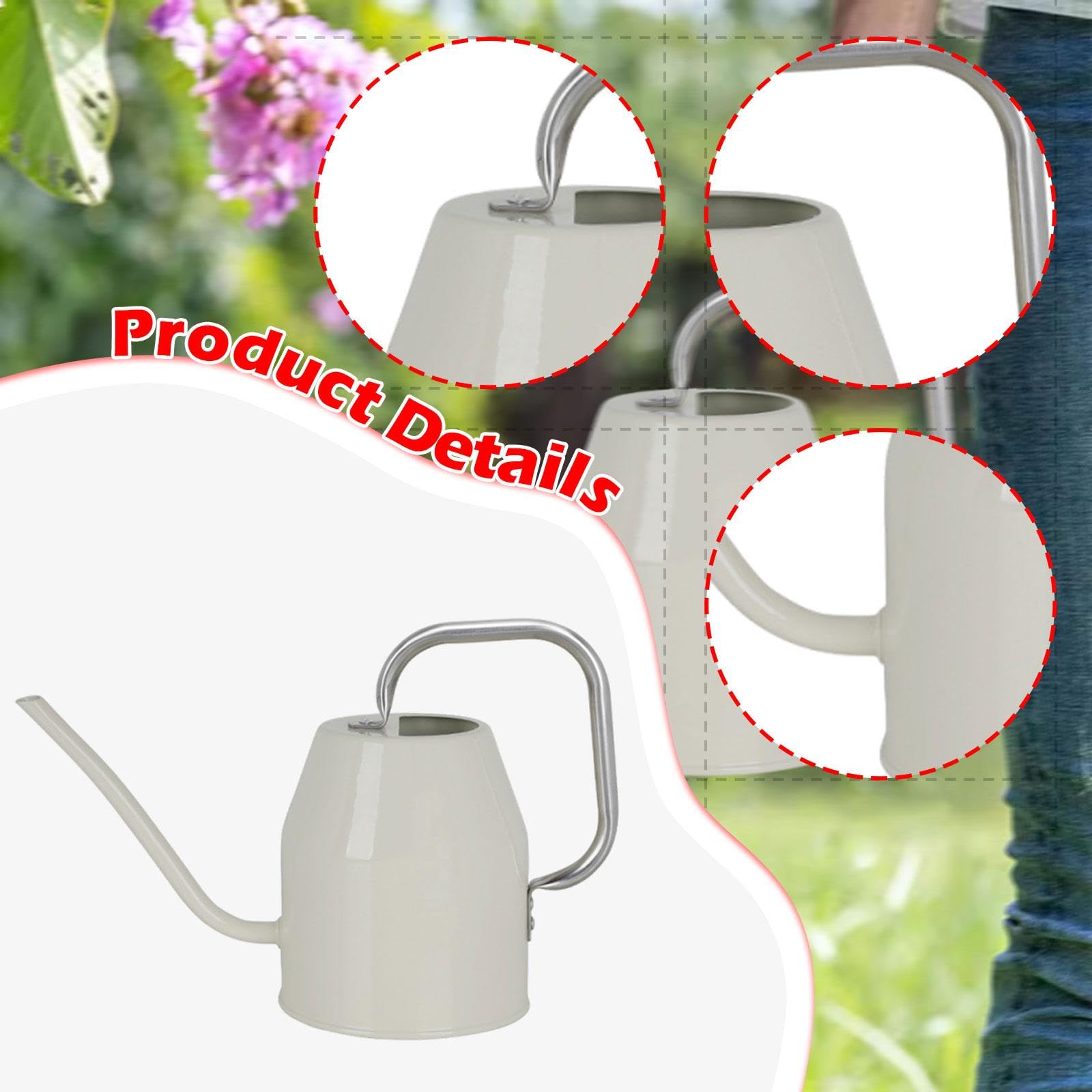 Arrosoir de Jardin à Long Col de 1 L pour D'intérieur et Jardin