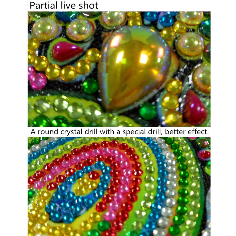 ABEUTY Kit Pittura A Mosaico Con Strass 5D - Gufo E Fiori Rossi - Diamanti A Forma Speciale, Tela 30x30cm, Fai Da Te, Regalo Creativo - 2