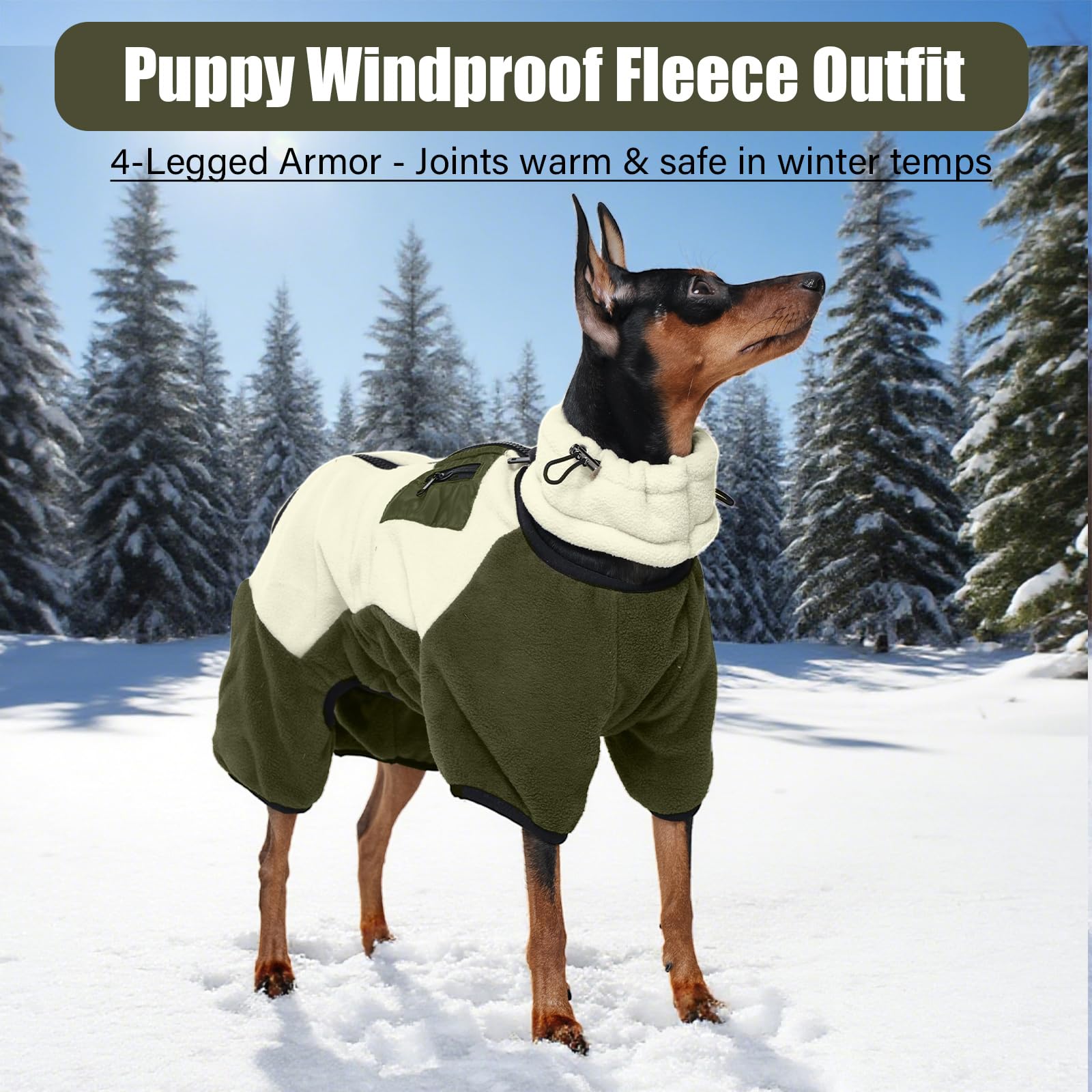 DENTRUN Hundejacke Kleine Hunde, Wintermantel Hund XS, Hunde Jacken Kleine Hunde, Abnehmbare Turtleneck Hundemantel, Hundepullover, Chihuahua Kleidung(Aprikosengrün,XS)