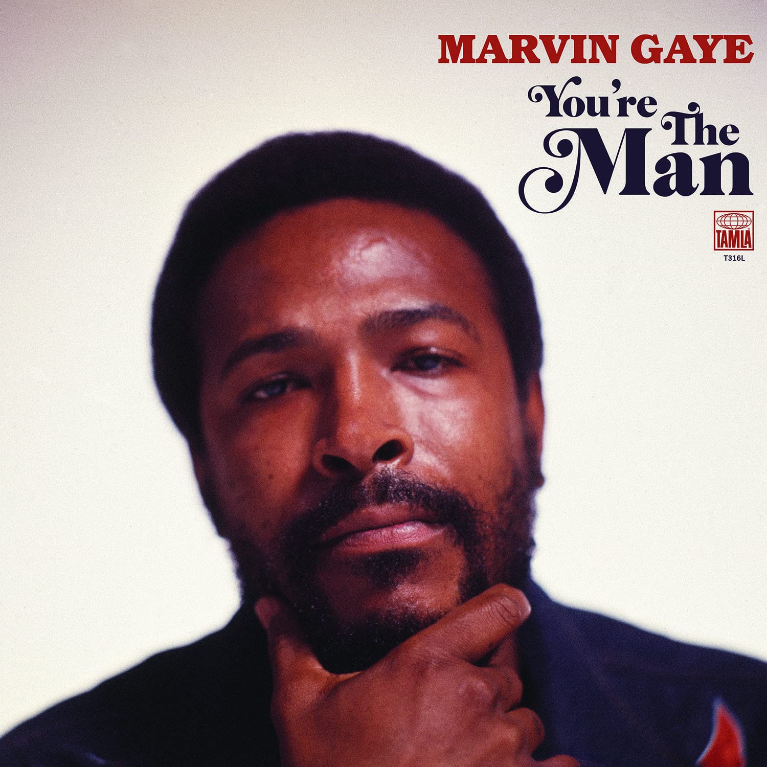 2LP Marvin Gaye – You're The Man You're The Man [2 LP]: GAYE,MARVIN: Amazon.ca: Music