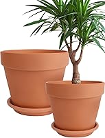 INGOFIN 10 & 12 Inch Terracotta Pots with Saucers - Breathable Ceramic Clay Planters with Drainage Holes for Indoor Outdoor Plants