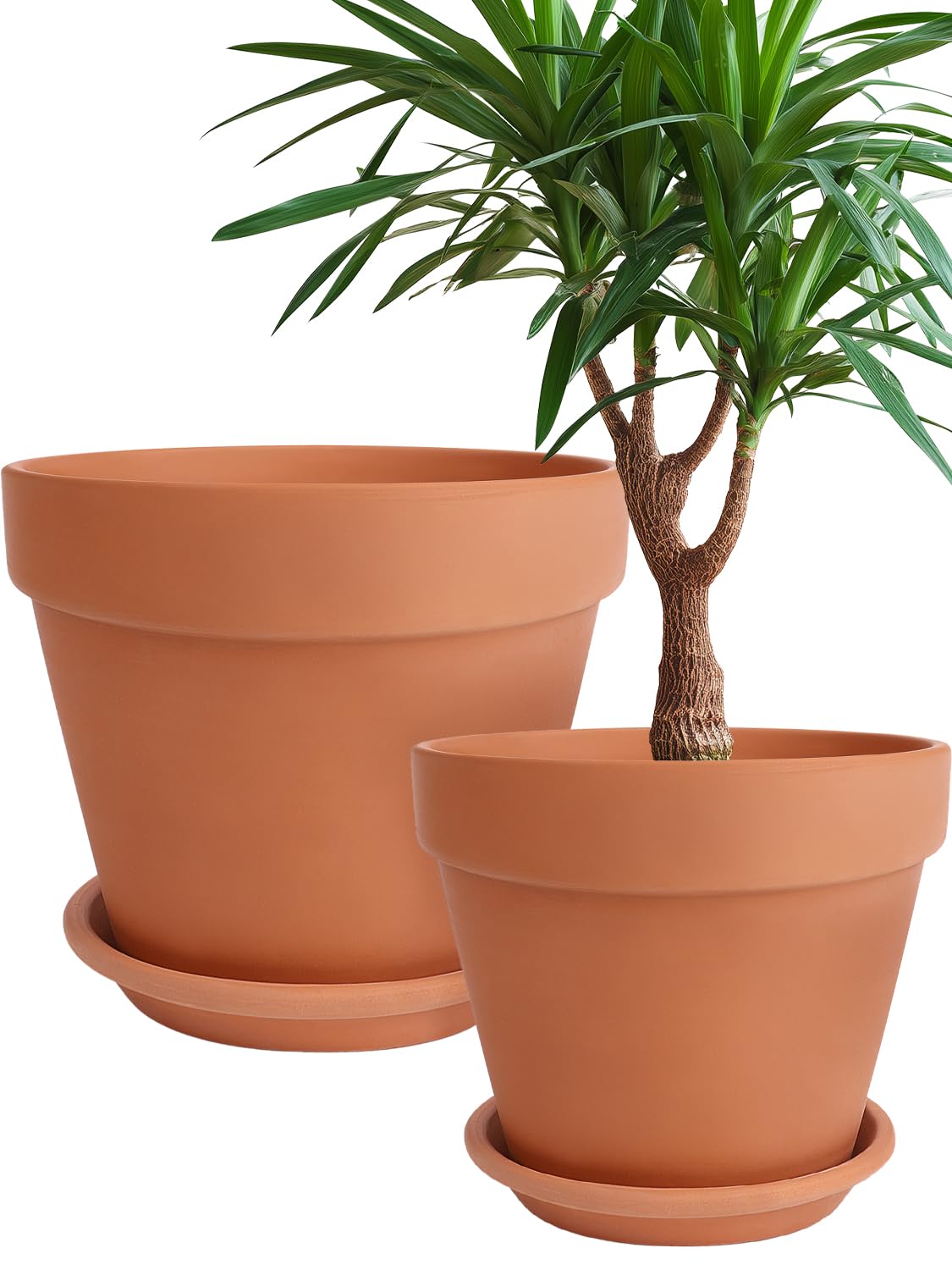 INGOFIN Terracotta Pot with Saucer 10 & 12 Inch