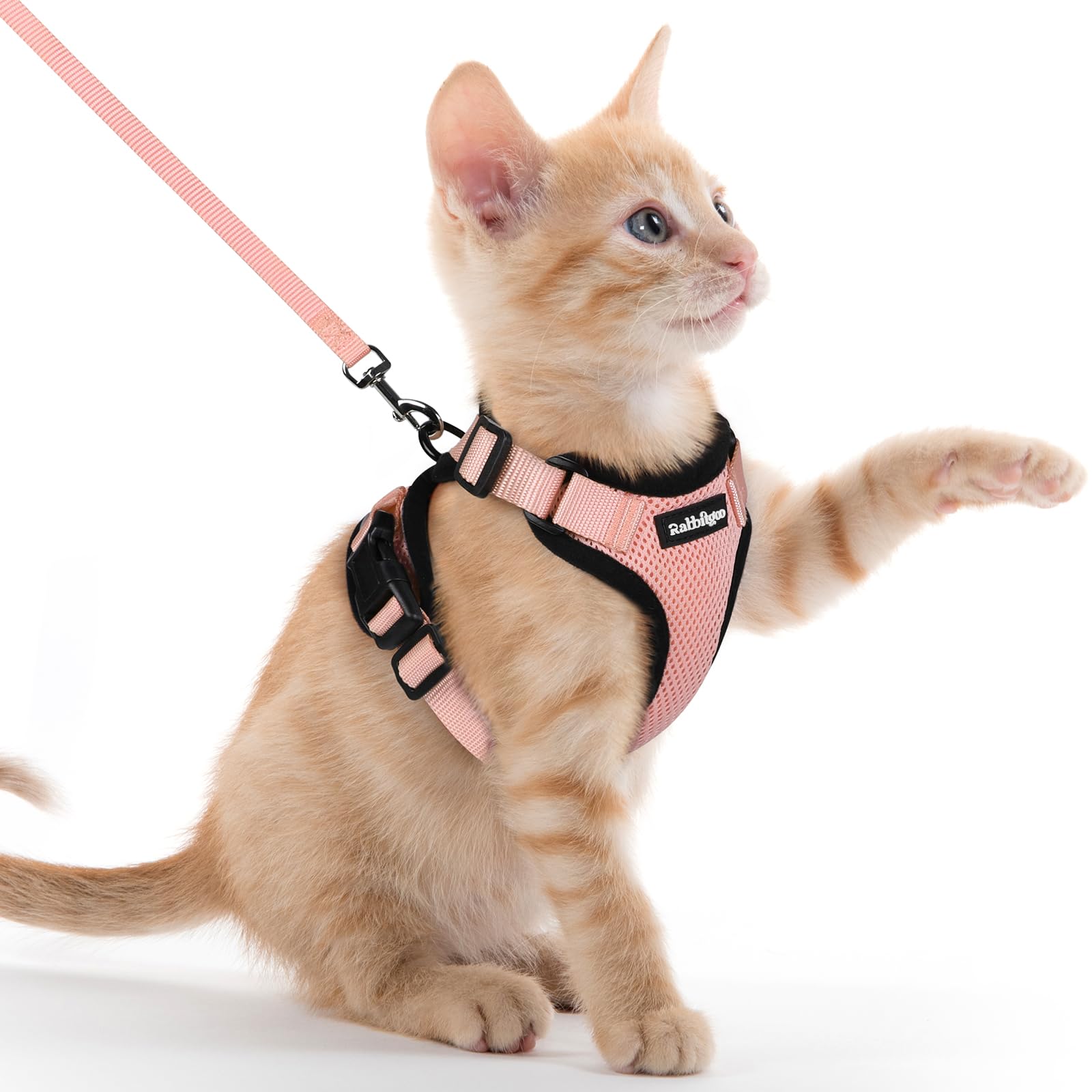 rabbitgoo Cat Harness and Leash for Walking, Escape Proof Soft Adjustable Vest Harnesses for Cats, Easy Control Breathable Reflective Strips Jacket,