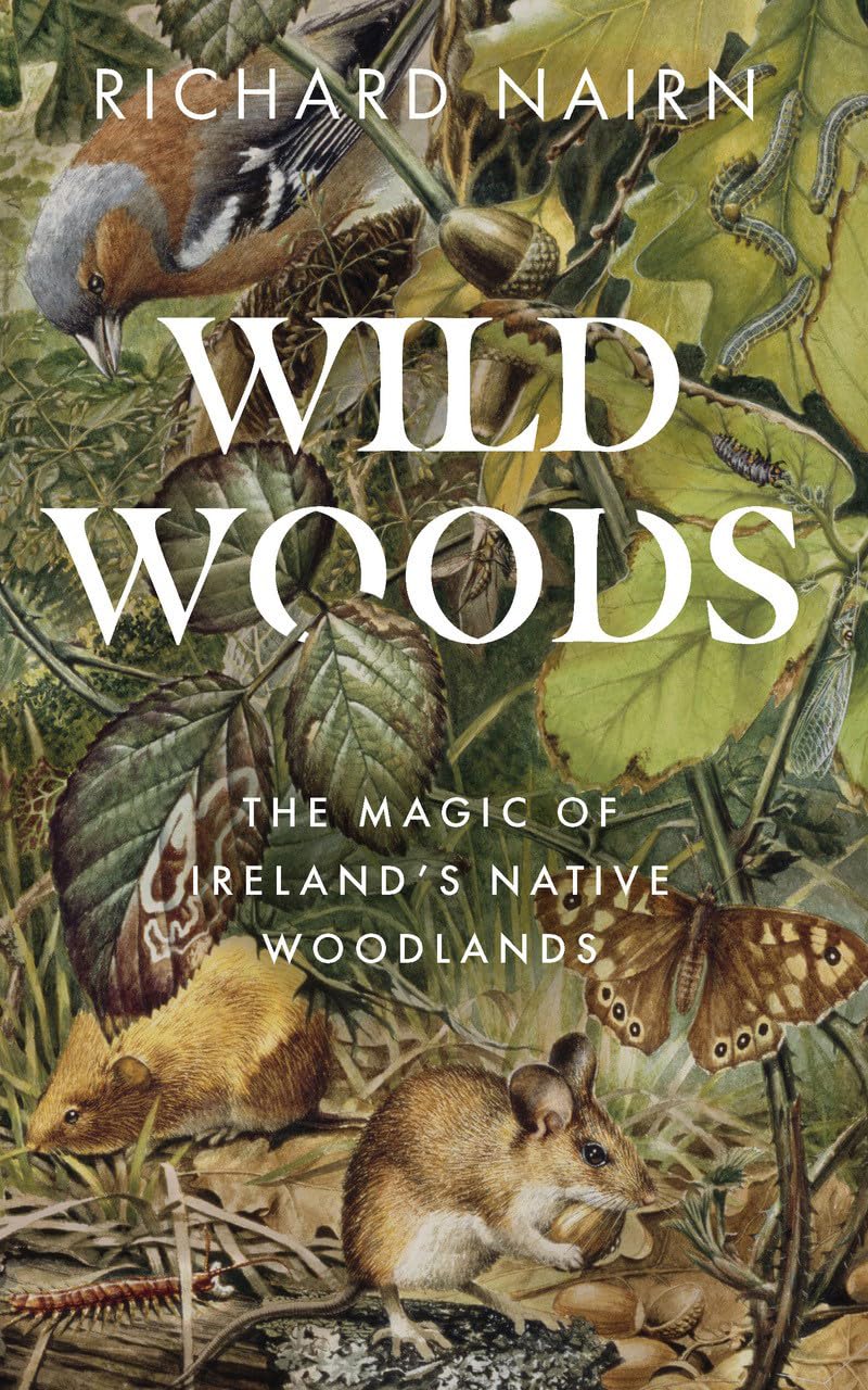 Wild Woods by Richard Nairn PAPERBACK 9780717190218