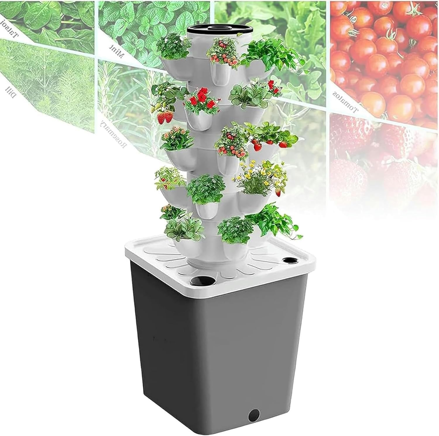 A 3 Herbal, Fruits and Vegetable Culture