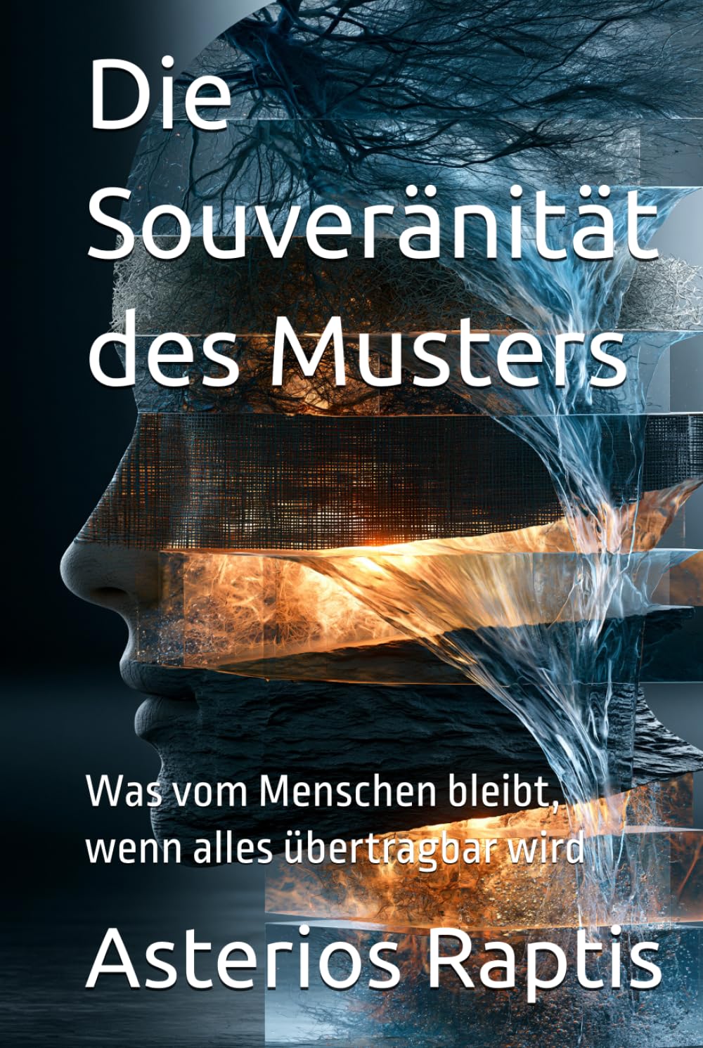 Die Souveränität des Musters: Was vom Menschen bleibt, wenn alles übertragbar wird