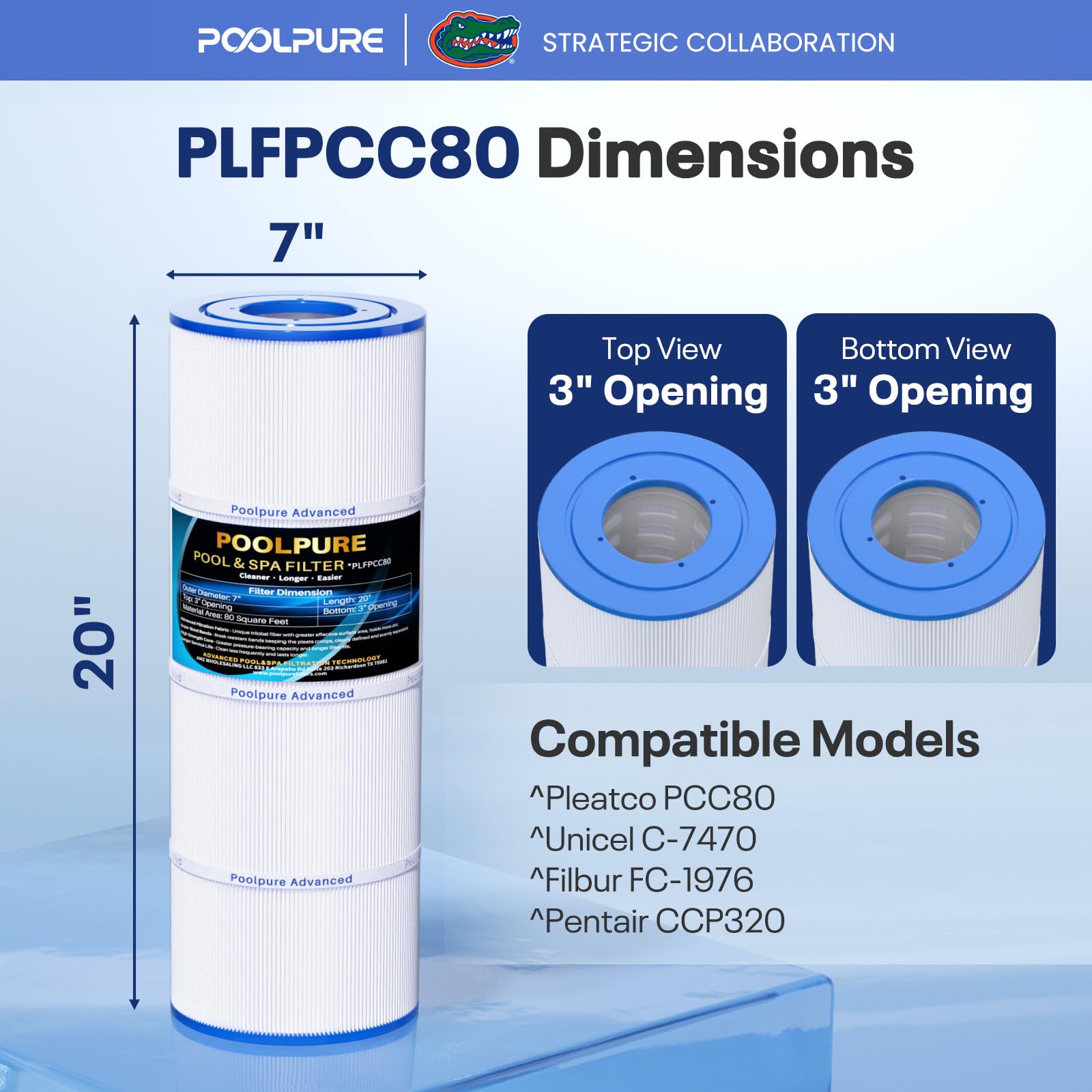 POOLPURE Filtre de Piscine Remplace Pleatco PCC80-PAK4, Unicel C-7470, Filbur FC-1976, Pentair Clean & Clear Plus 320, R173573, 178580, 817-0081, 4 Cartouches