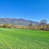 Luvit & Lumoè B0DFQK2JGP lato 4