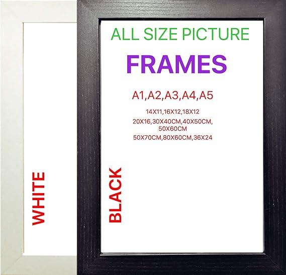 A1 A2 A3 A4 A5 Picture Frame Poster Frames BLACK WHITE (Black, 18x12