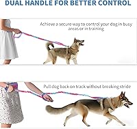 Vista 6 de Correa de perro manos libres para perros medianos y grandes, correa de perro manos libres con bolsa de cremallera, adecuada para correr, trotar